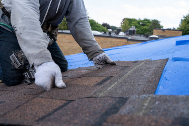 Best Storm Damage Roof Repair  in Jemison, AL