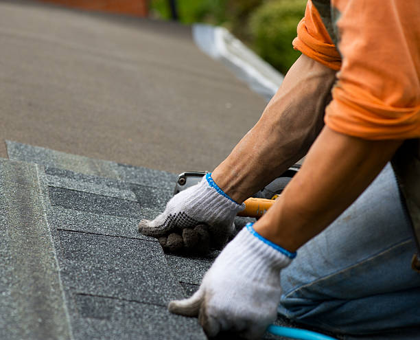 Best Roof Gutter Cleaning  in Jemison, AL